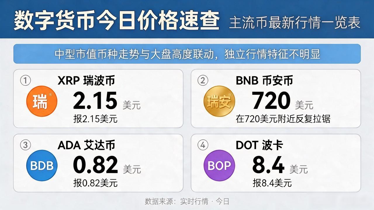 各种数字货币今日价格_主流数字货币价格波动解读_比特币以太坊最新行情分析
